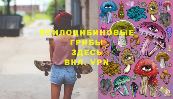 метадон Алексеевка